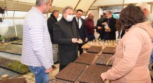 Bornova’nın tohumları postayla Türkiye’ye yayılıyor