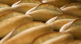 Buğdaya zam: Ekmek fiyatlarına da yansıyacak!