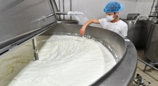 İzmir’de süt üreticisi nefes almaya başladı