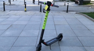 KVKK açıkladı: Martı kullananlar dikkat! Kişisel veriler çalındı