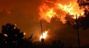 430 hektar ormanlık alan yangınına 5 yıl hapis cezası!