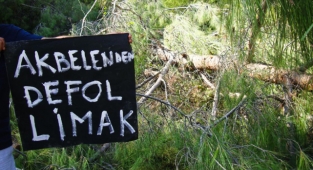 Akbelen’de direnişin zaferi: Sökülen ağaçlar geri dikiliyor