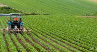 Bakan Vahit Kirişci duyurdu: Çiftçiye destek ödemesi başladı 