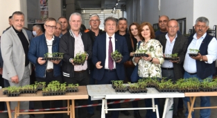 Bornova’da üreticiye 350 bin fide