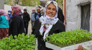 Buca Belediyesi’nden üreticiye 100 bin sebze fidesi 
