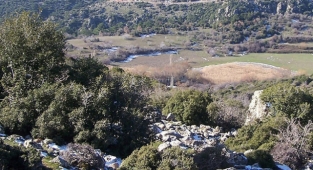 Büyükşehir tartışmalı mezarlık için harekete geçti! 