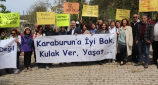 İlkay Girgin Erdoğan: Keçi Peyniri Yerine Güneş Paneli mi Yiyeceğiz?