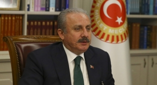 Meclis Başkanı Şentop 'troll'le atıştı