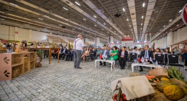 1800 yıllık ağacın zeytinyağı 75 bin liraya satıldı