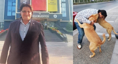 AK Partili İnce'den sokak köpekleri çıkışı
