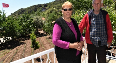 Bornova’da üreticiye tam destek