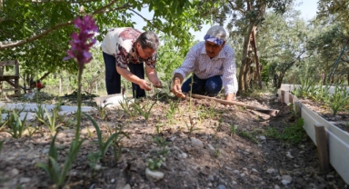Buca’da salep bereketi: Katma değerli saleple örnek kırsal kalkınma