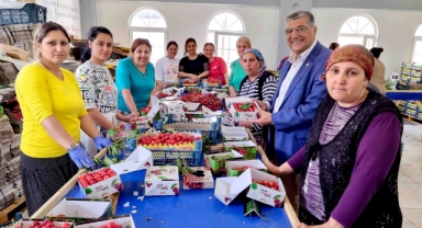 CHP'li Sındır iktidarı işaret etti: Tarımda plansızlığın bedeli...