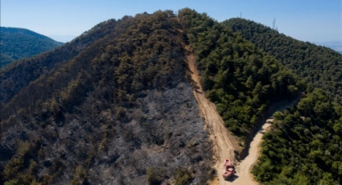 İzmir'de yangınla mücadele: O ormanlara giriş yasaklandı! 