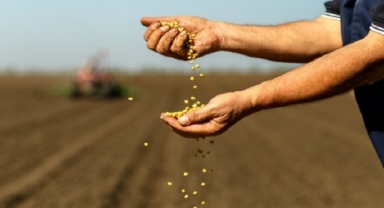 Küresel ısınmanın etkileri kartopu gibi büyüyor!