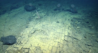 Pasifik Okyanusunda Sarı Tuğlalı Yol Keşfedildi! 