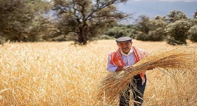 Planlarda önemli değişiklik: Büyükşehir'den ekosistemi korumak için hamle 