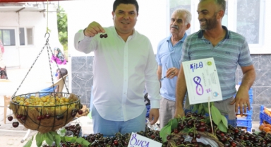 Buca’da Kiraz Festivali için geri sayım başladı