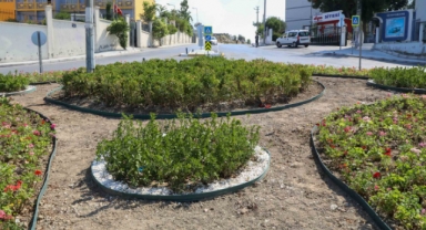 Buca sokaklarında yaz çiçekleri zamanı