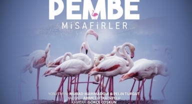 Çiğli’nin Pembe Misafirleri 10 Festivalde Ödüle Aday