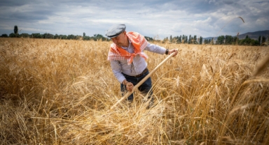 İzmir Büyükşehir Belediyesi’nden üreticiye tam destek