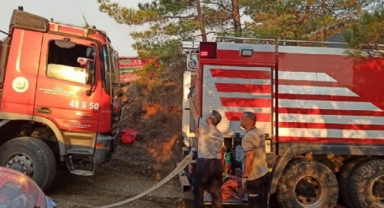 İzmir'den Marmaris'e destek: Yangınla mücadele sürüyor! 