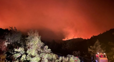 Marmaris'teki yangında sabotaj şüphesi: Kirişçi ve Soylu’dan açıklama 