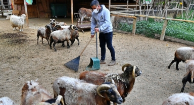 Organik atıklar bu tesiste gübreye dönüşüyor