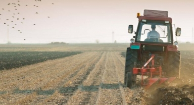 Tarımsal girdi fiyat endeksi yıllık yüzde 117.31 arttı