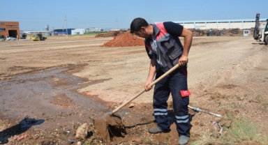 Torbalı Kurban Pazarı’nda hummalı çalışma