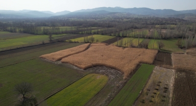Buğdayda arz, soya da sıcak hava endişesi: Fiyatlar yükselmeye devam ediyor