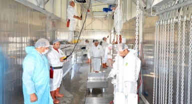 Büyükşehir'in kurban hazırlıkları tam gaz devam ediyor