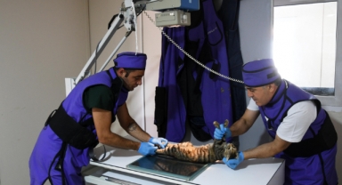 Can dostlarımız için dört dörtlük hizmet