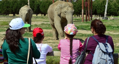 Doğal Yaşam Parkı'na ziyaretçi akını