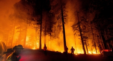 İçişleri Bakanlığı'ndan orman yangınlarına karşı genelge!