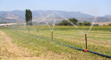 İzmir'de sulu tarımla ekonomiye milyarlık katkı 