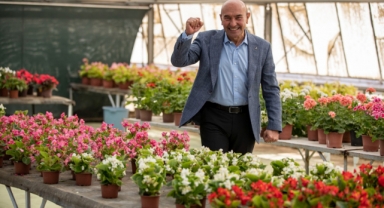 İzmir'in gurur günü: Bademler’in çiçekleri Royal Flora Holland’da satışa sunuldu