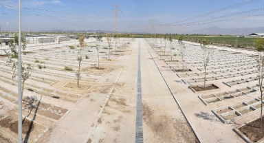 İzmir'in ilk hayvan mezarlığında doluluk oranı yüzde 35'e ulaştı