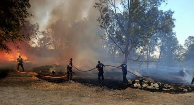  İzmir’in ormanlarını korumak için zabıta iş başında