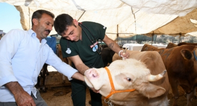 Karabağlar'da kurban satış yerleri denetleniyor