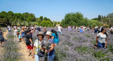 Mis kokulu şenlikte 2 hasat birden!