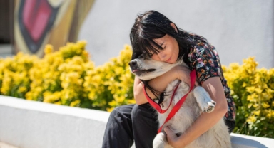 Önce tedavi ettiler sonra sahiplendiler