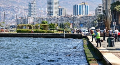 Soyer'in 'sihirli değnek' sözleri olay oldu: AK Partili vekillerden 'sandık' mesajı! 
