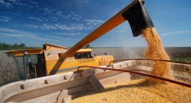 Tahıl koridoru anlaşması bugün imzalanıyor