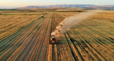 Tarımda üretici enflasyonu yıllık yüzde 149 oldu