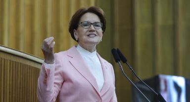 Akşener’i köpek ısırdı