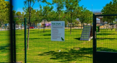 Başkan Oran’dan hayvanseverlere müjde