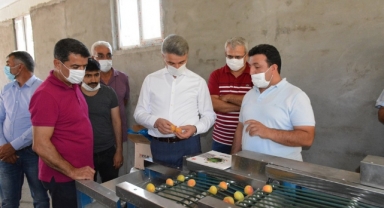 Egeli ihracatçılar kaliteli kuru meyve için çalışıyor