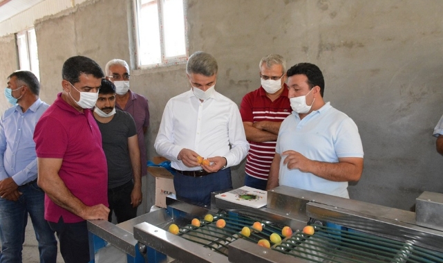 Egeli ihracatçılar kaliteli kuru meyve için çalışıyor