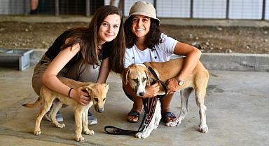Hayvanseverler Pako'daki can dostlarla buluştu: Patilere el verdiler